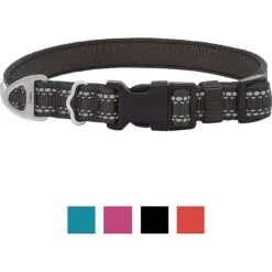 Frisco Outdoor Premium Ripstop Nylon Dog Harness With Pocket & Frisco Outdoor Nylon Reflective Comfort Padded Dog Collar -Frisco 319304 PT5. AC SS1800 V1631139692