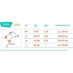 Frisco Outdoor Premium Ripstop Nylon Dog Harness With Pocket & Frisco Outdoor Nylon Reflective Comfort Padded Dog Collar -Frisco 319304 PT7. AC SS1800 V1631119280