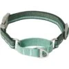 Frisco Outdoor Running Martingale Dog Collar -Frisco 331413 MAIN. AC SS1800 V1659977325