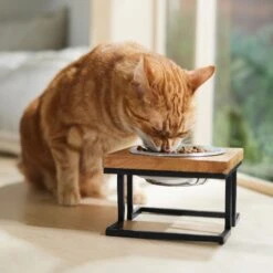 Frisco Premium Wood Elevated Single Dog & Cat Bowl -Frisco 331493 PT3. AC SS1800 V1657656892