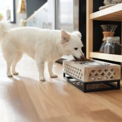 Frisco Premium Wood Elevated Stainless Steel Double Diner Dog & Cat Bowl, 3 Cup -Frisco 331507 PT2. AC SS1800 V1657656894