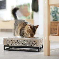 Frisco Premium Wood Elevated Stainless Steel Double Diner Dog & Cat Bowl, 3 Cup -Frisco 331507 PT3. AC SS1800 V1657656894