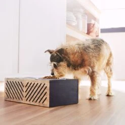 Frisco Premium Wood Elevated Stainless Steel Double Diner Dog & Cat Bowl, Black, 3 Cup -Frisco 331509 PT2. AC SS1800 V1657656894