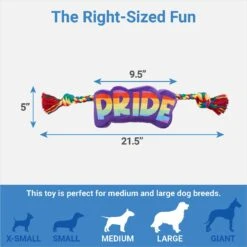 Frisco Pride Plush With Rope Squeaky Dog Toy -Frisco 331661 PT1. AC SS1800 V1649785001