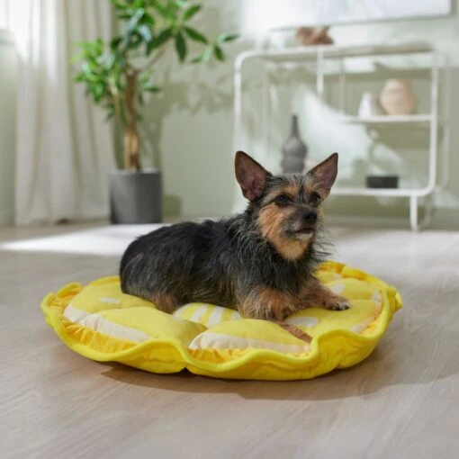 Frisco Lemon Adjustable Cat & Dog Bolster Bed -Frisco 333852 MAIN. AC SS1800 V1658716845
