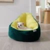Frisco Avocado Cat & Dog Bed -Frisco 333856 MAIN. AC SS1800 V1658717997