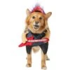 Frisco Front Walking Punk Rocker Dog & Cat Costume -Frisco 335087 MAIN. AC SS1800 V1658349621