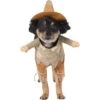 Frisco Front Walking Scarecrow Dog & Cat Costume -Frisco 335135 MAIN. AC SS1800 V1658349298