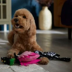 Frisco Halloween Flamingo Plush Squeaky Dog Toy -Frisco 344123 PT3. AC SS1800 V1657657035