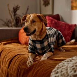 Frisco Plaid Dog & Cat Fleece Pajamas -Frisco 353755 PT6. AC SS1800 V1660749967