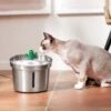 Frisco Stainless Steel Cactus & Leaf Dog & Cat Fountain 2 Frisco Stainless Steel Cactus & Leaf Dog & Cat Fountain -Frisco 355814 MAIN. AC SS1800 V1665684257