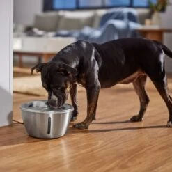 Frisco Stainless Steel Heart Dog & Cat Fountain -Frisco 355816 PT5. AC SS1800 V1665684540