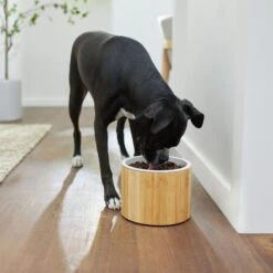 Frisco Elevated Non-Skid Bamboo Melamine Dog Bowl With Bamboo Stand -Frisco 363391 PT2. AC SS1800 V1657657268