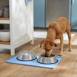 Frisco Silicone Dog & Cat Food Mat, Blue -Frisco 363399 PT2. AC SS1800 V1660750522