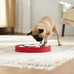 Frisco Bento Interactive Puzzle Dog Toy, Moderate -Frisco 506226 PT5. AC SS1800 V1674664929