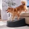 Frisco Plastic Easy Step Cat & Dog Stair 1 Frisco Plastic Easy Step Cat & Dog Stair -Frisco 542390 MAIN. AC SS1800 V1671829661