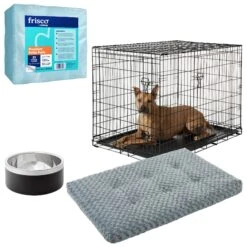 Frisco Insulated Two-Toned Non-Skid Stainless Steel Dog & Cat Bowl + 3 Items