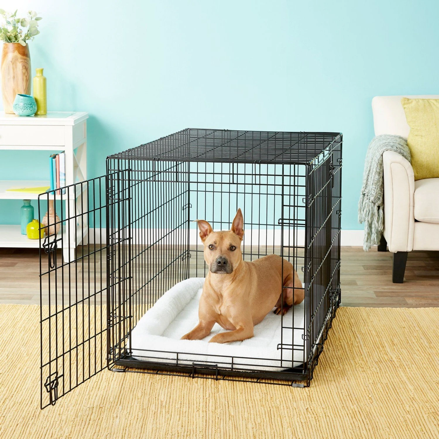 Frisco Swirl Dog Crate Mat + 3 Items 4 Frisco Swirl Dog Crate Mat + 3 Items - Image 2