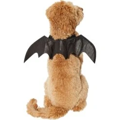 Frisco Bat Wings Dog & Cat Costume & Buckle-Down Batman Shield Polyester Dog Collar -Frisco 638566 PT3. AC SS1800 V1663254451