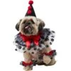 Frisco Clown Dog & Cat Costume Accessory -Frisco 706526 MAIN. AC SS1800 V1689350103
