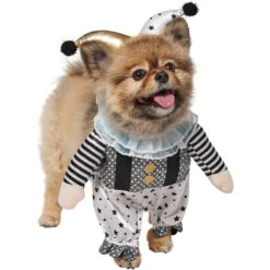 Frisco Front Walking Glitter Clown Dog & Cat Costume -Frisco 707542 PT3. AC SS1800 V1689278296