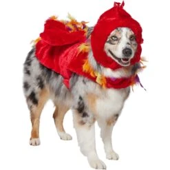 Frisco Flying Phoenix Dog & Cat Costume -Frisco 708150 PT3. AC SS1800 V1691084928