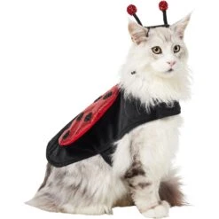 Frisco Glittered Ladybug Dog & Cat Costume -Frisco 708254 PT2. AC SS1800 V1689350599
