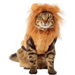 Frisco Lion Love Dog & Cat Costume 13 Frisco Lion Love Dog & Cat Costume -Frisco 708318 PT2. AC SS1800 V1689341486