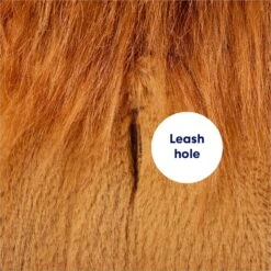 Frisco Lion Love Dog & Cat Costume 17 Frisco Lion Love Dog & Cat Costume -Frisco 708318 PT6. AC SS1800 V1689351045