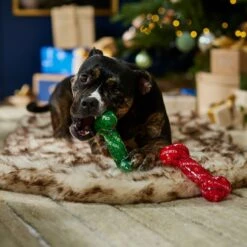 Frisco Holiday Naughty & Nice TPR Bone Squeaky Dog Toy 9 Frisco Holiday Naughty & Nice TPR Bone Squeaky Dog Toy -Frisco 739702 PT3. AC SS1800 V1694812786