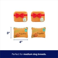 Frisco Holiday Hot Cocoa Hide & Seek Puzzle Plush Squeaky Dog Toy & Frisco Holiday North Pole Mailbox Hide & Seek Puzzle Plush Squeaky Dog Toy -Frisco 986166 PT7. AC SS1800 V1698258463