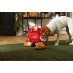 Frisco Holiday Hot Cocoa Hide & Seek Puzzle Plush Squeaky Dog Toy & Frisco Holiday North Pole Mailbox Hide & Seek Puzzle Plush Squeaky Dog Toy -Frisco 986166 PT8. AC SS1800 V1698258533